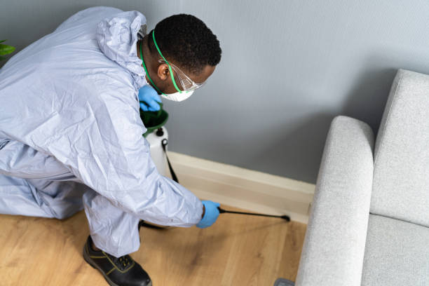 Professional Pest Control in Brownfield, TX